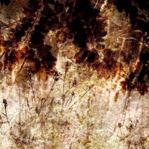 Papier peint - Retro Meadow