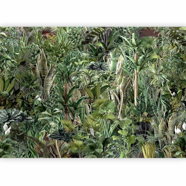 Papier peint - Richness of Jungle