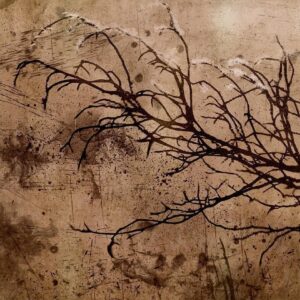 Papier peint - Rickety Cherry Tree