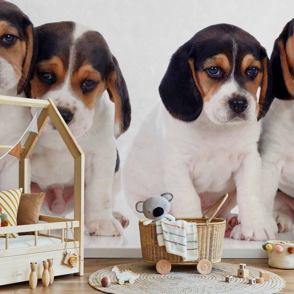 Papier peint - Sad Puppies Papier peint - Sad Puppies