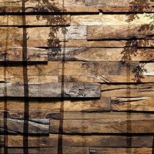 Papier peint - Shadow of Trees