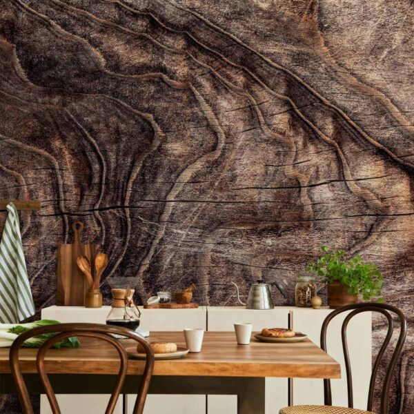 Papier peint - Signs of the times - an abstract background with the wrinkled bark of an old tree