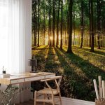 Papier peint - Spring: Morning in the Forest
