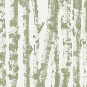 Papier peint - Stately Birches - Third Variant