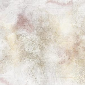 Papier peint - Summer memory - abstract background with shadow of dried leaves