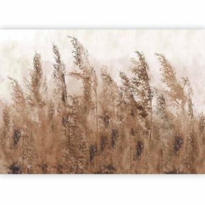 Papier peint - Tall Grasses - Brown