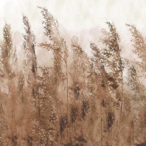 Papier peint - Tall Grasses - Brown