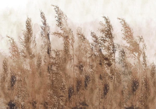 Papier peint - Tall Grasses - Brown