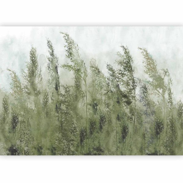Papier peint - Tall Grasses - Green