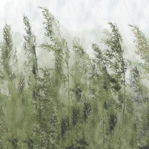 Papier peint - Tall Grasses - Green