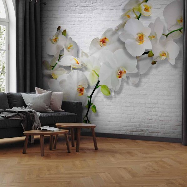 Papier peint - The Urban Orchid Papier peint - The Urban Orchid