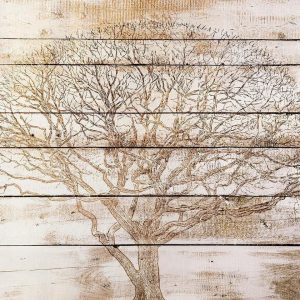 Papier peint - Tree on Boards
