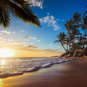 Papier peint - Tropical Beach