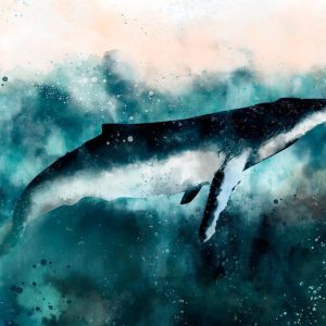 Papier peint - Underwater Life