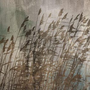 Papier peint - Water Grasses