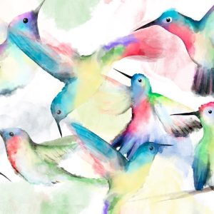 Papier peint - Watercolor Birds