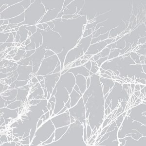 Papier peint - White Trees