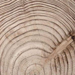 Papier peint - Wood grain