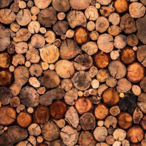 Papier peint - Wooden Gate