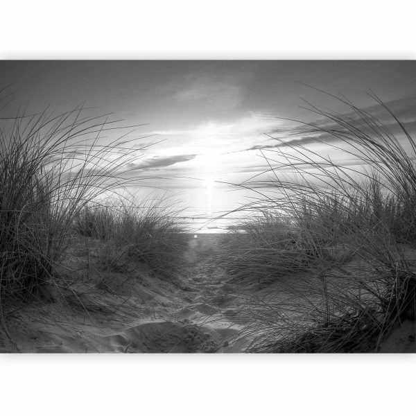 Papier peint - beach (black and white)