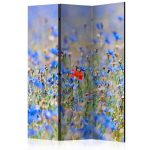 Paravent - A sky-colored meadow - cornflowers