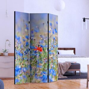 Paravent - A sky-colored meadow - cornflowers