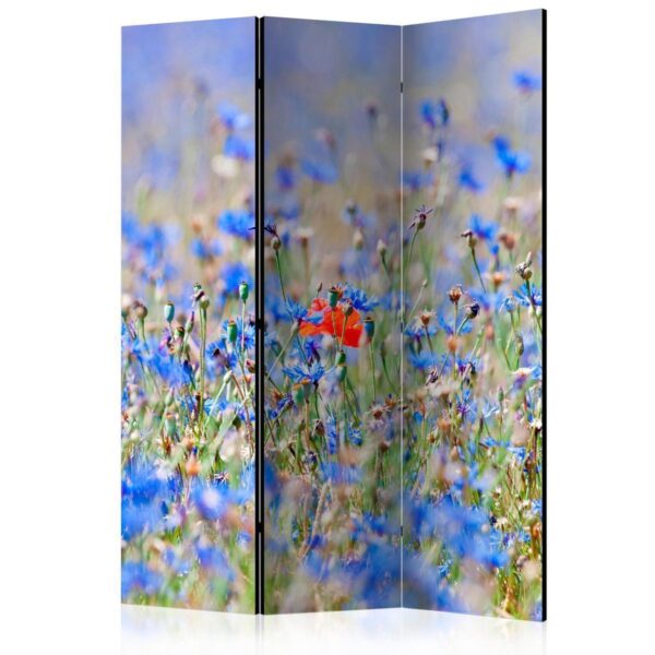 Paravent - A sky-colored meadow - cornflowers Paravent - A sky-colored meadow - cornflowers