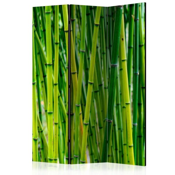 Paravent - Bamboo Forest Paravent - Bamboo Forest