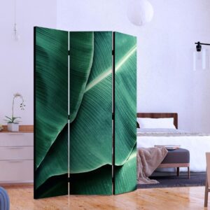 Paravent - Banana Leaf