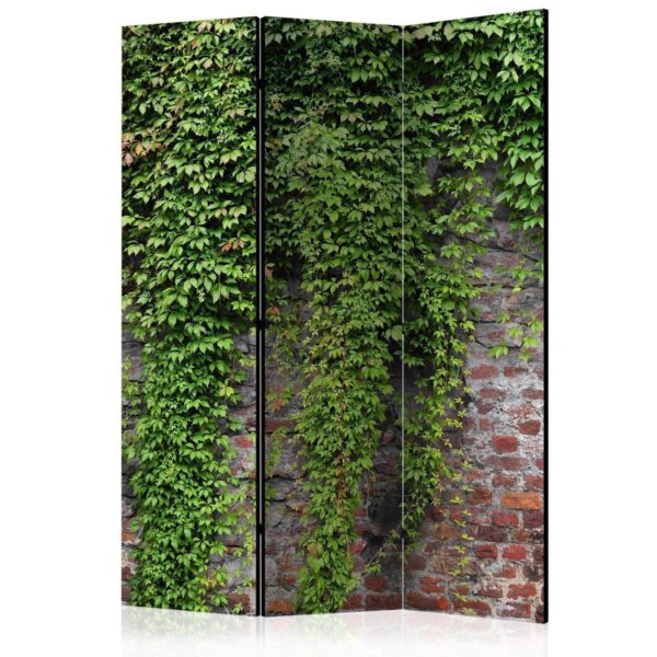 Paravent - Brick and ivy Paravent - Brick and ivy
