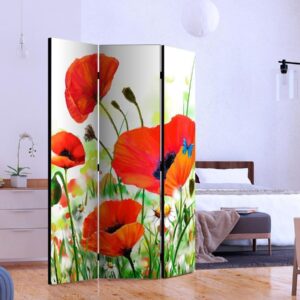 Paravent - Country poppies