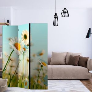 Paravent - Daisies - spring meadow