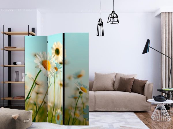 Paravent - Daisies - spring meadow
