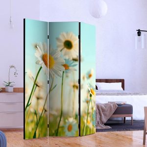 Paravent - Daisies - spring meadow