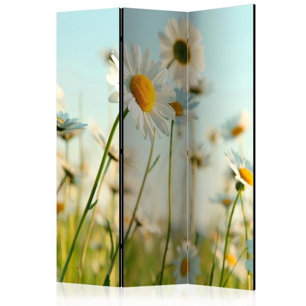 Paravent - Daisies - spring meadow Paravent - Daisies - spring meadow