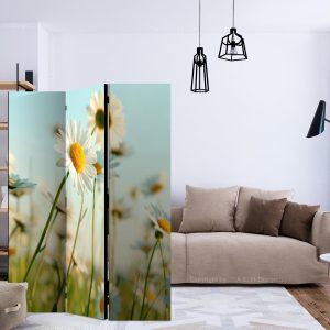 Paravent - Daisies - spring meadow