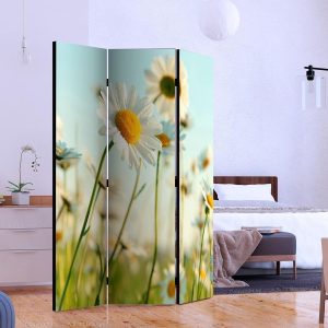 Paravent - Daisies - spring meadow