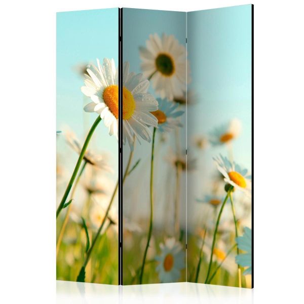 Paravent - Daisies - spring meadow Paravent - Daisies - spring meadow
