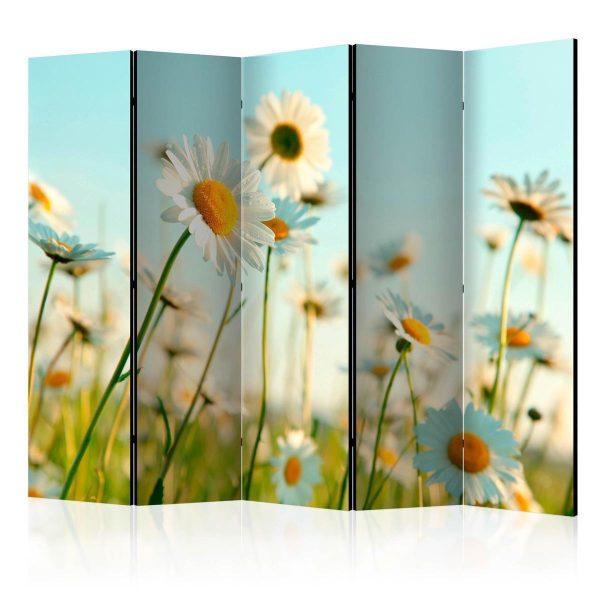 Paravent - Daisies - spring meadow II Paravent - Daisies - spring meadow II