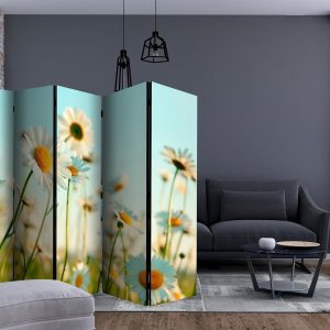 Paravent - Daisies - spring meadow II