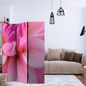 Paravent - Flower petals - dahlia