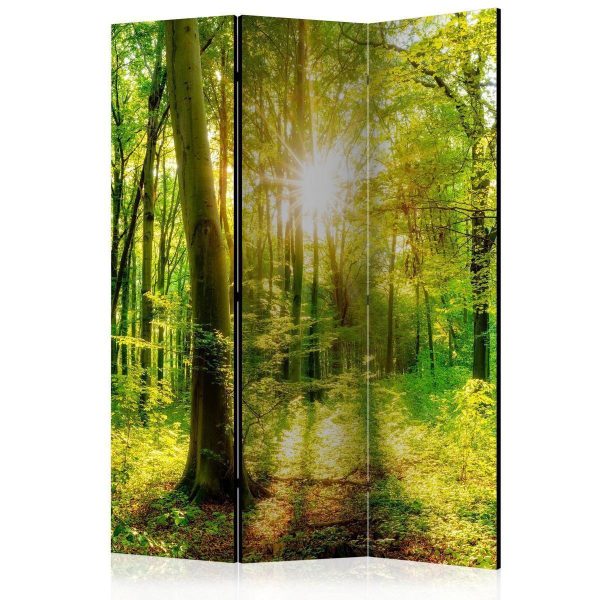 Paravent - Forest Rays Paravent - Forest Rays