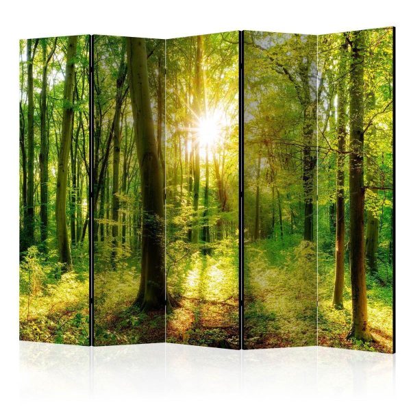 Paravent - Forest Rays II Paravent - Forest Rays II