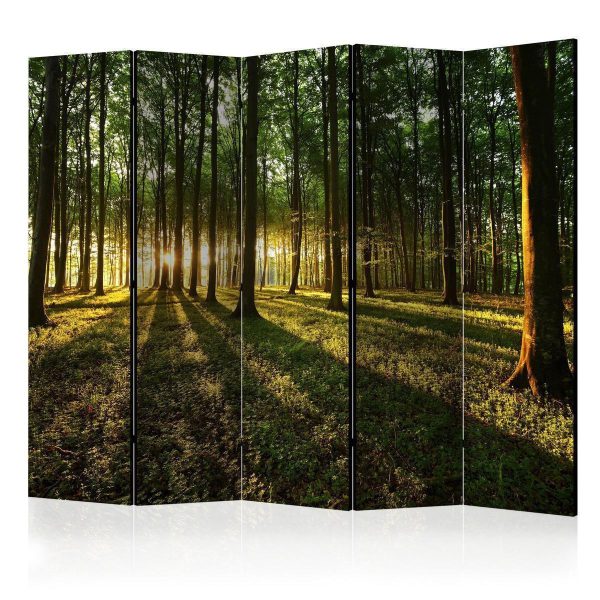 Paravent - Morning in the Forest II Paravent - Morning in the Forest II