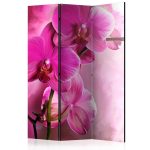 Paravent - Pink Orchid