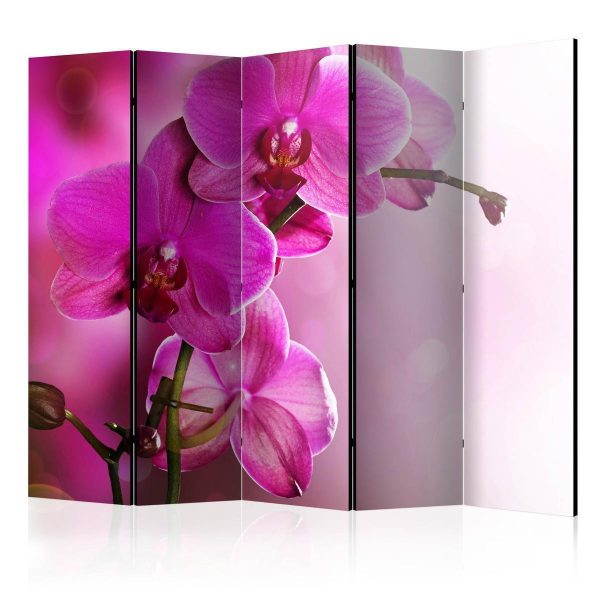 Paravent - Pink orchid II Paravent - Pink orchid II