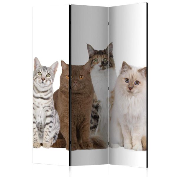 Paravent - Sweet Cats Paravent - Sweet Cats