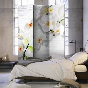 Paravent - The Urban Orchid