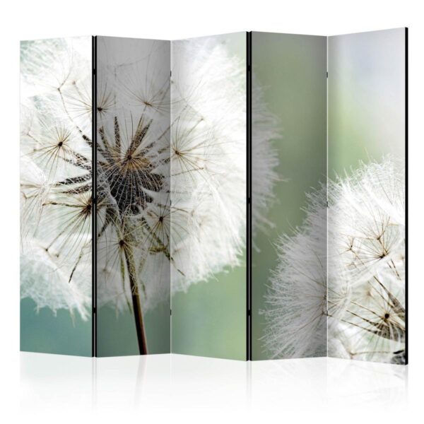 Paravent - Two dandelions II Paravent - Two dandelions II