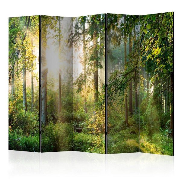 Paravent - Untamed Nature II Paravent - Untamed Nature II